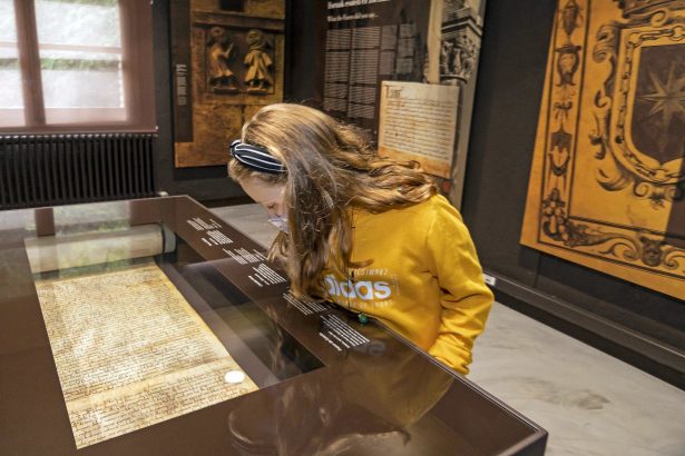 *A: MONTXO A.G.
*F: 2020-09-18
*L: ESTELLA
*T: APERTURA/INAUGURACION DEL CENTRO DE INTERPRETACION DE LA CIUDAD
*P: