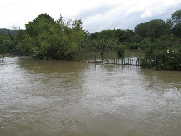 WhatsApp Image 2025-03-12 at 09.36.18