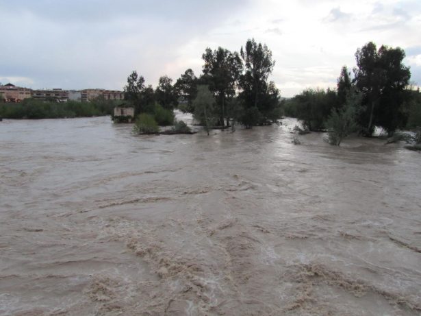 WhatsApp Image 2025-03-12 at 09.36.19